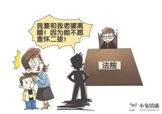 诉讼请求和诉讼理由_投标书对诉讼做情况说明_离婚诉讼新情况新理由