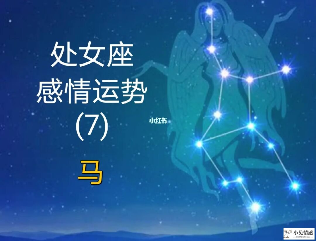 星座运势2016年运势3月_2016年星座情感运势_佩妮2016年星座运势