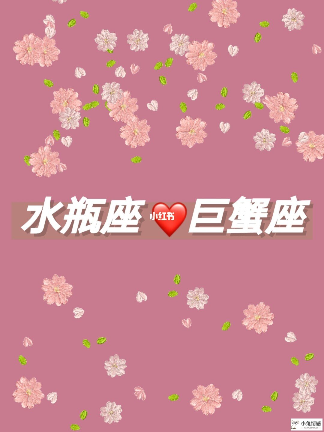 星座咨询情感咨询_情感破裂了最难修复的星座_星座情感巫师