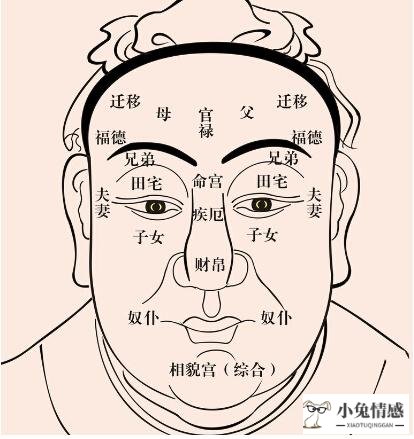 星座情感系_什么星座适合做情感咨询师_星座女人情感真实