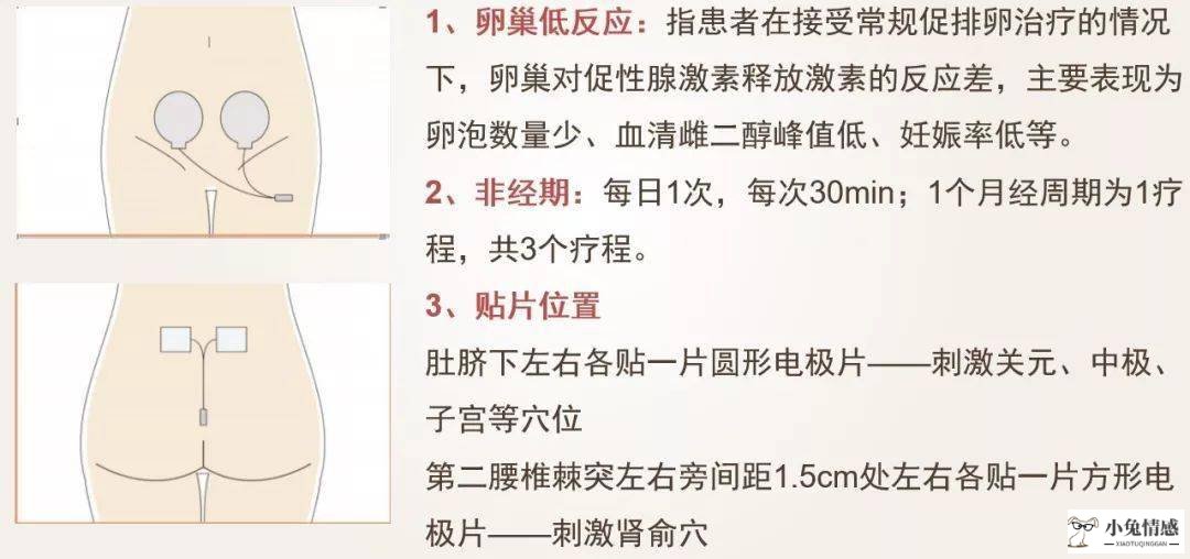 夫妻性按摩图_给女性性按摩视频_夫妻性生活前的女性按摩技巧
