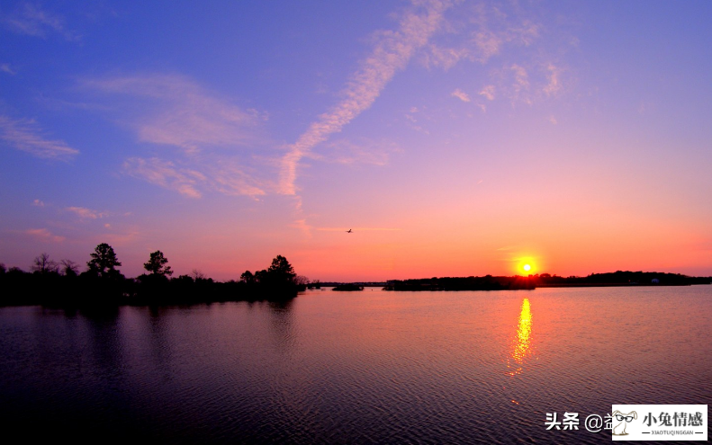 星座说：2019年水象星座情感以及运势12月大总结