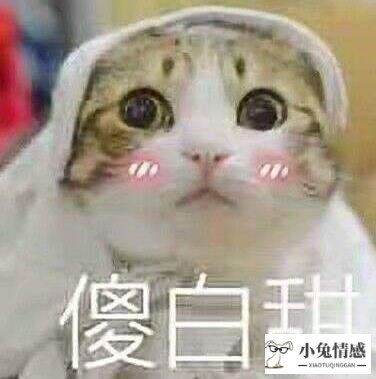 男生搭讪女生是好事吗_男生和女生搭讪说什么_男生搭讪 说我胖