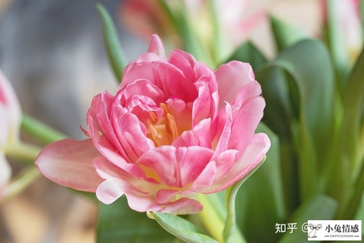再婚夫妻相处之道_再婚夫妻财产分割_再婚夫妻性生活技巧