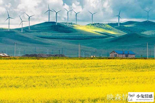 面对老公出轨聪明女人怎么做才能放下？发现老公出轨后想挽回该怎么做？(图1)
