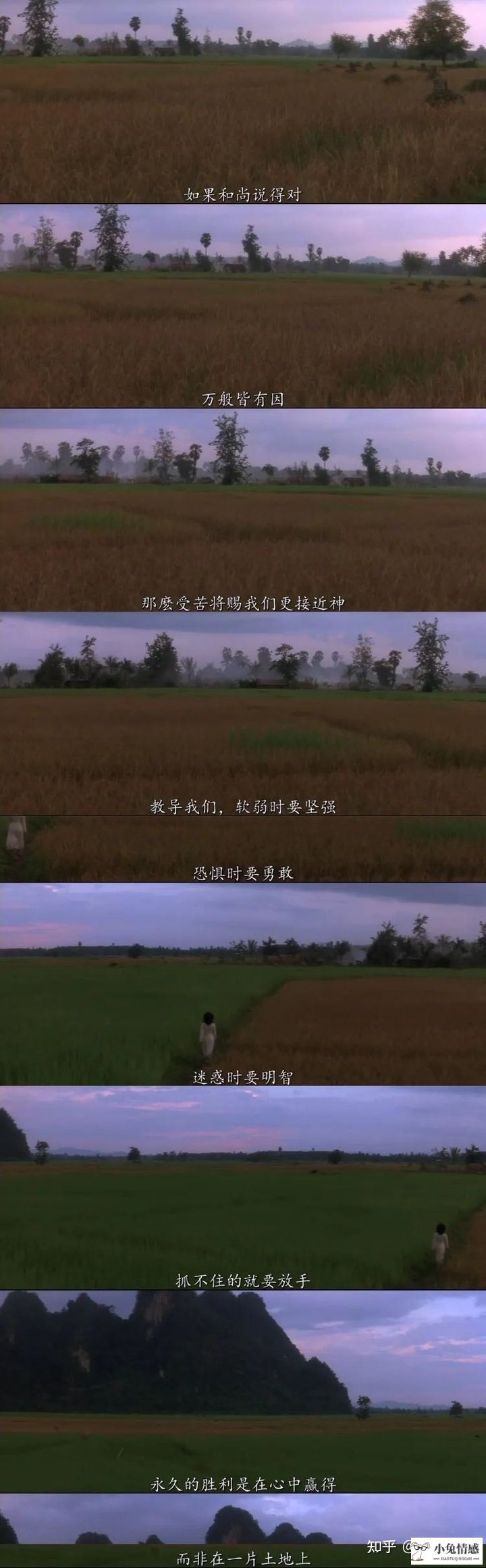 丈夫出轨离婚财产怎么分配_老公出轨离婚财产_老婆出轨离婚不分财产