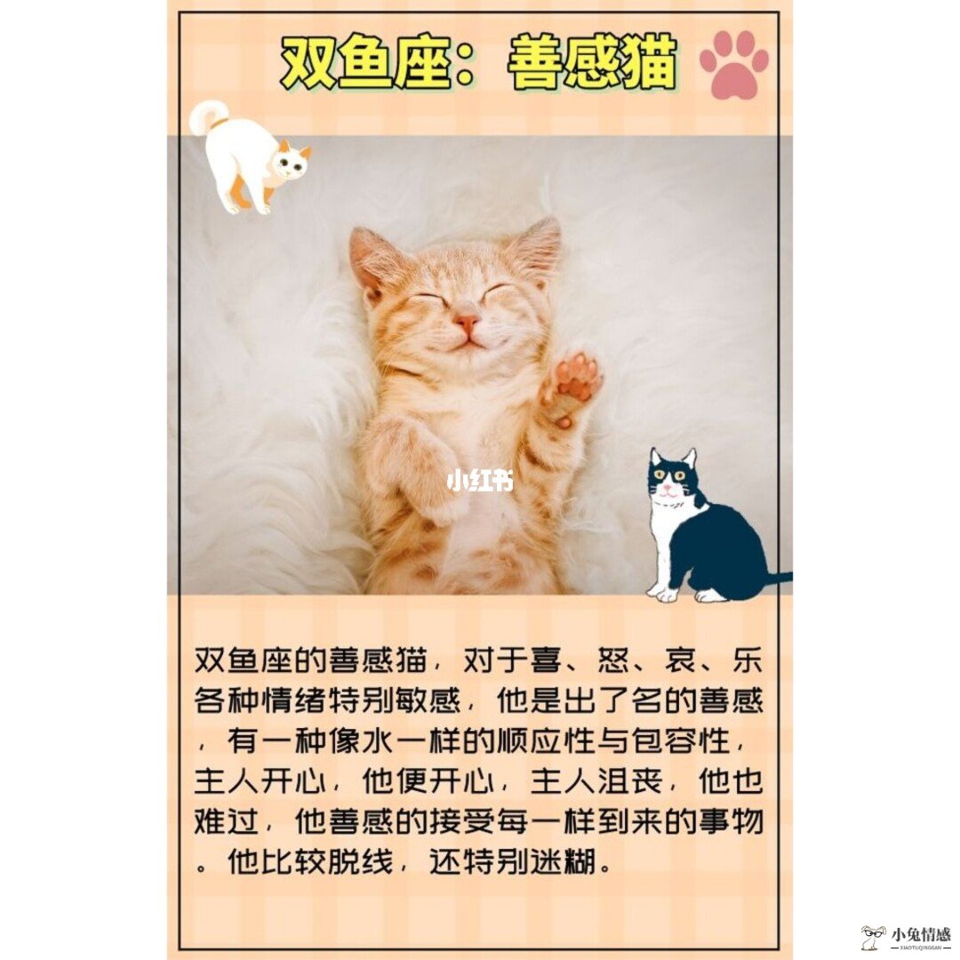 百度动态情感与星座_星座和情感是同一领域_星座情感系