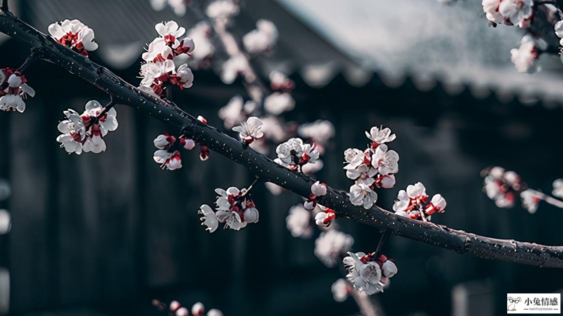 怎么样挽回老婆的心_老公心死了还能挽回吗_挽回前任的句子虐心感人