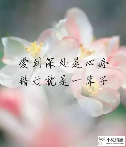 男人的伤感语录痛到心里(男人累的经典伤感语录)