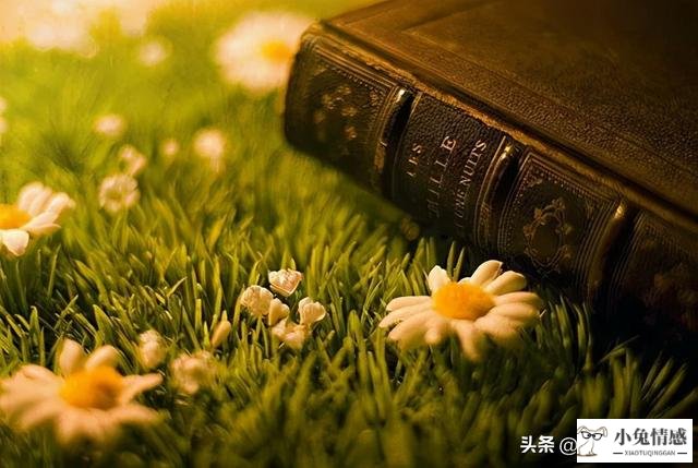 如何查老婆出轨
