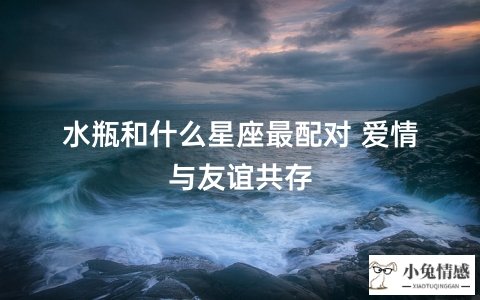 水瓶和什么星座最配对 爱情与友谊共存