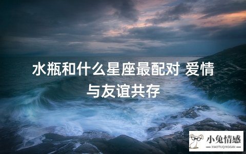 水瓶和什么星座最配对 爱情与友谊共存