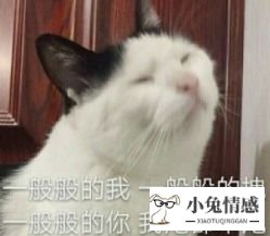 恋爱成熟度测试_测试恋爱_恋爱测试