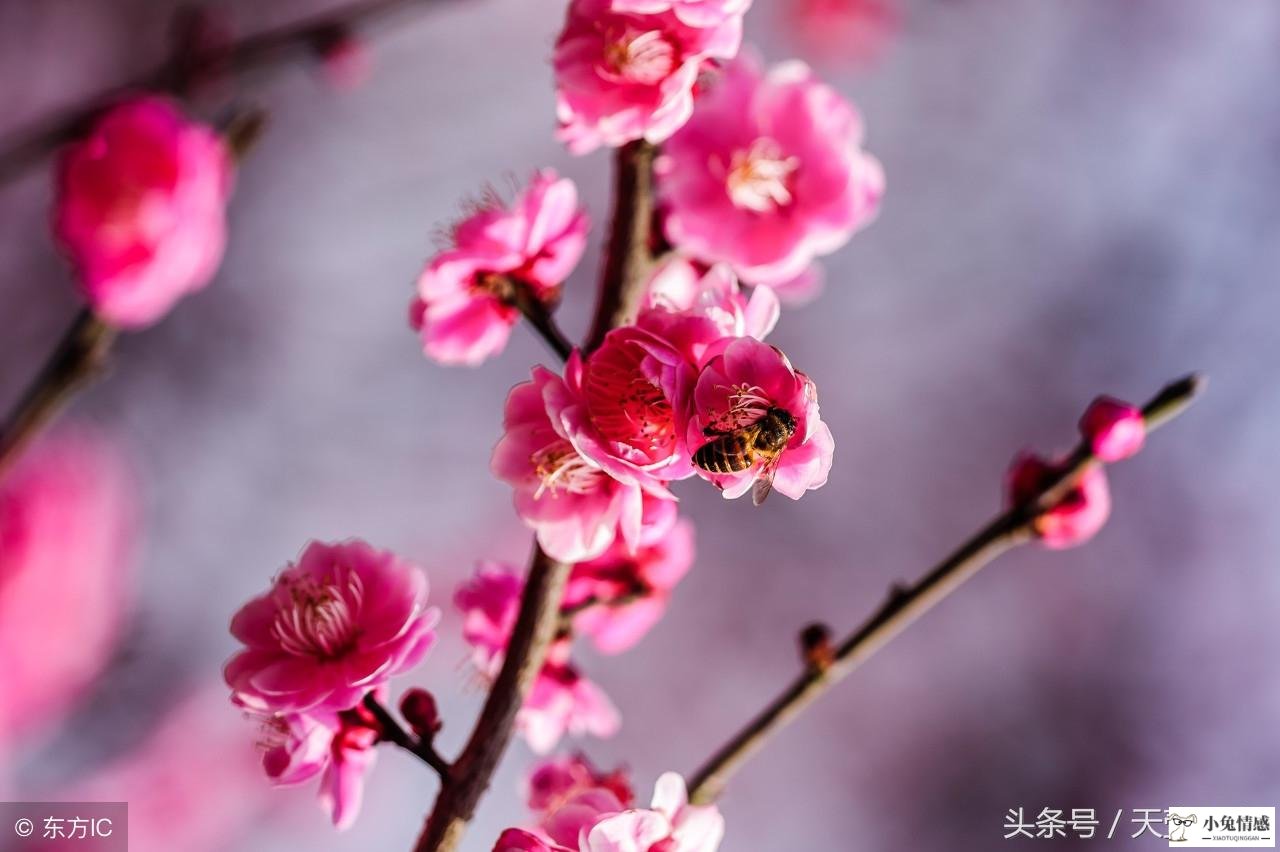 风水涣变山水蒙测婚姻_坎为水变风水涣复合_风水涣变坎为水测恋爱