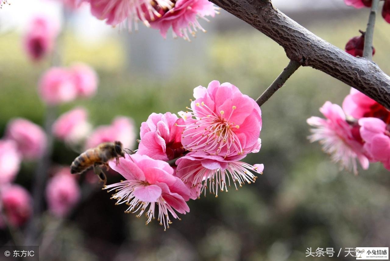 坎为水变风水涣复合_风水涣变坎为水测恋爱_风水涣变山水蒙测婚姻