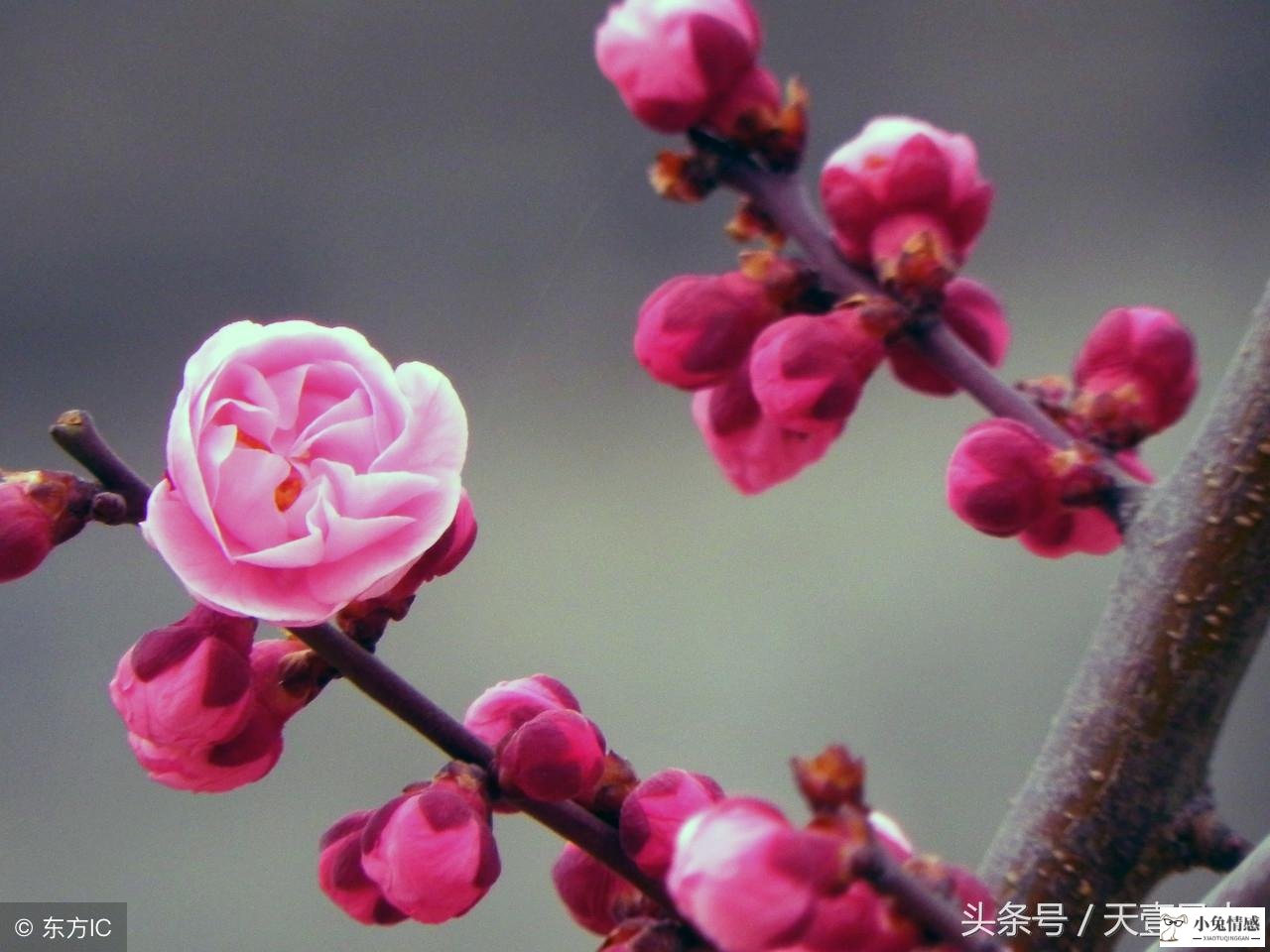 风水涣变山水蒙测婚姻_风水涣变坎为水测恋爱_坎为水变风水涣复合