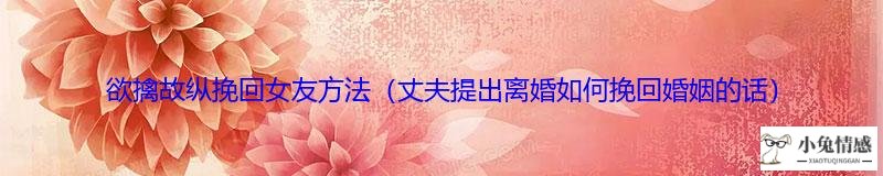 欲擒故纵挽回女友方法（丈夫提出离婚如何挽回婚姻的话）