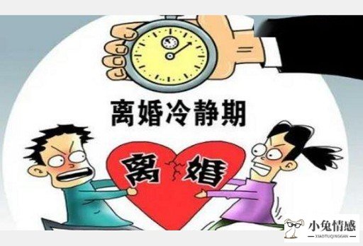 深圳市诉讼离婚去哪里找律师_诉讼离婚请律师需要花多少钱_离婚诉讼要请律师吗
