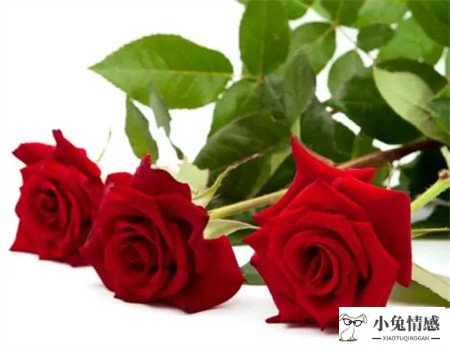 男生生日送什么花(男友过生日送什么花)