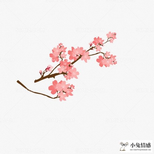完美:小朋友过生日送什么花 好朋友过生日送什么花才合适？