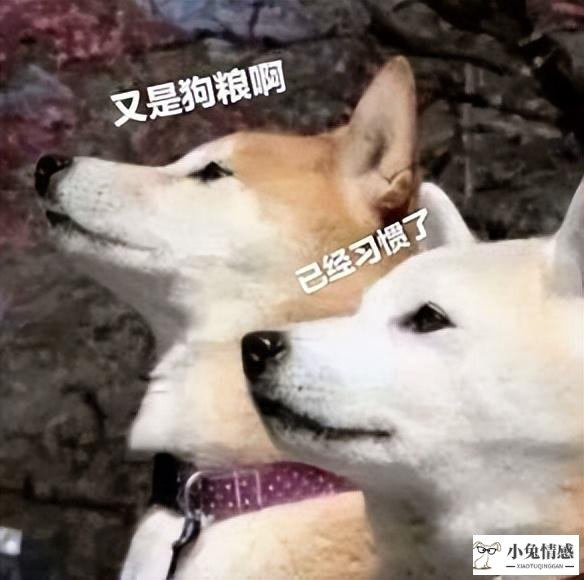 异地520怎么过？网友：请收好这份表白、约会指南
