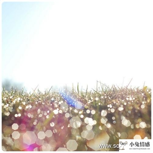 做梦有女孩追求自己_做梦梦到两个人追求自己_做梦梦见自己追求别人