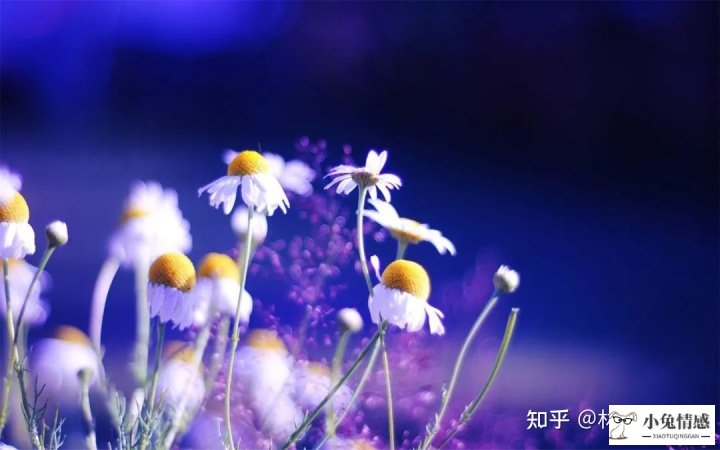 出轨如何挽回老婆_老婆出轨说什么话能挽回_老婆出轨爱上别人还能挽回吗