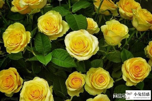 女人出轨后离婚做小姐_女人出轨后离婚的结局_出轨女人离婚后的想法