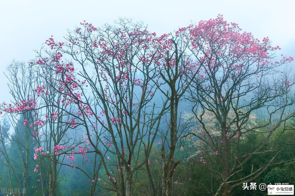 异地军恋分手了_和老公异地感觉越来越陌生了_异地恋怎么感觉到爱