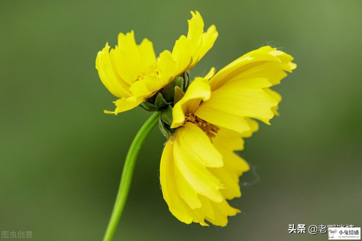 异地恋怎么感觉到爱_和老公异地感觉越来越陌生了_异地军恋想分手的征兆