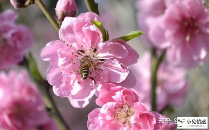 老公坚持离婚如何挽回_和老公离婚了怎样挽回_老公坚决要离婚挽回案例