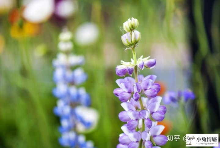 老公坚持离婚如何挽回_和老公离婚了怎样挽回_老公坚决要离婚挽回案例