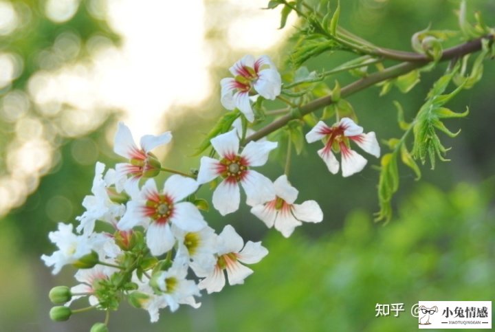 老公坚决要离婚挽回案例_和老公离婚了怎样挽回_老公坚持离婚如何挽回
